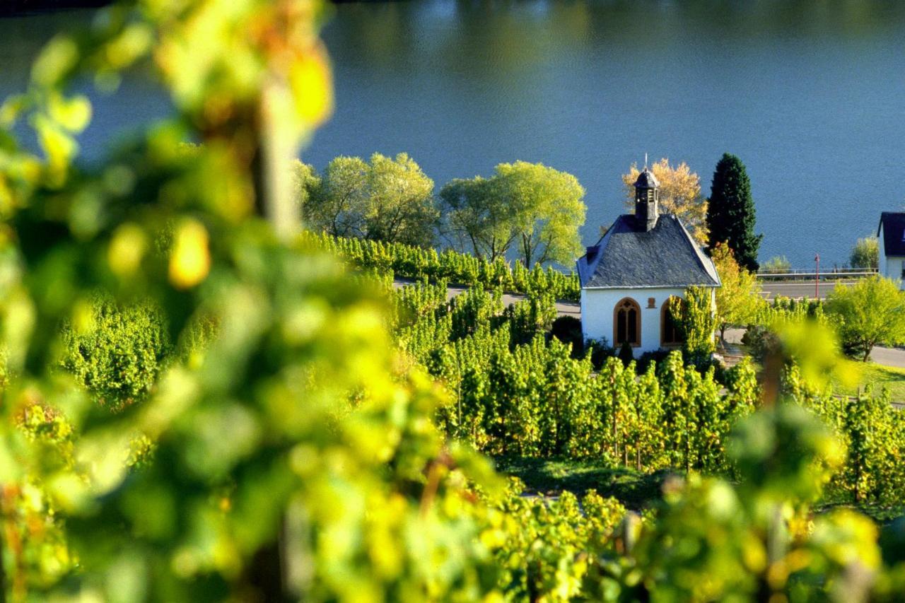 KövenigWeingut Christoffel公寓 外观 照片